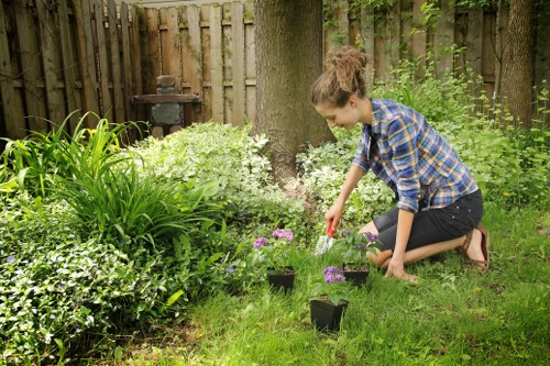 A young woman with light skin and brown hair tied in a bun is kneeling on a well-maintained grassy garden in Brockley, London, engaging in planting or tending to flowering plants in small black pots. She is wearing a blue and white checked shirt and dark jeans. The garden features a variety of lush green plants, including tall grass, small flowering bushes with purple and white blooms, and leafy shrubs surrounding a sturdy tree with a textured trunk. In the background, there is a wooden fence and garden features such as a patio area with paving stones, a garden ornament, and some garden tools. The scene is illuminated by natural daylight, suggesting a mild, overcast weather condition. The landscape layout indicates a small, landscaped outdoor space typical of residential gardens in the Brockley area, suitable for gardening and outdoor maintenance activities, with the potential for regular hedge trimming and lawn care performed by local gardening services such as Hedge Trimming Brockley.