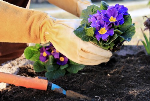 Professional gardener trimming a hedge with specialized tools